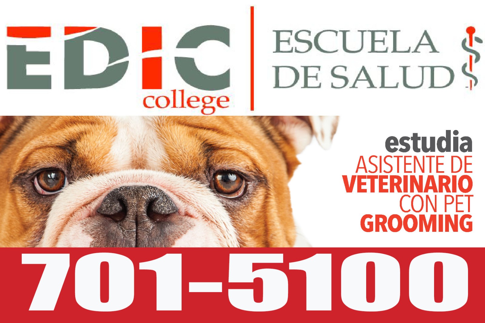 大型絲網(wǎng)印刷2 大型絲網(wǎng)印刷2