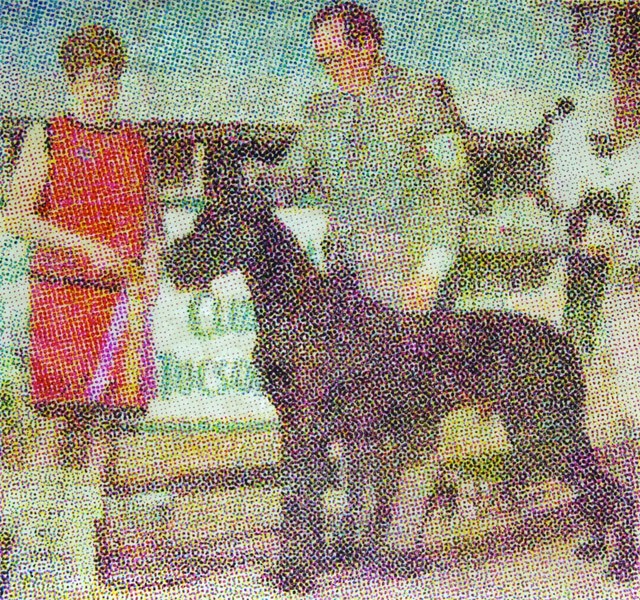 絲印版畫作品10 絲印版畫作品10